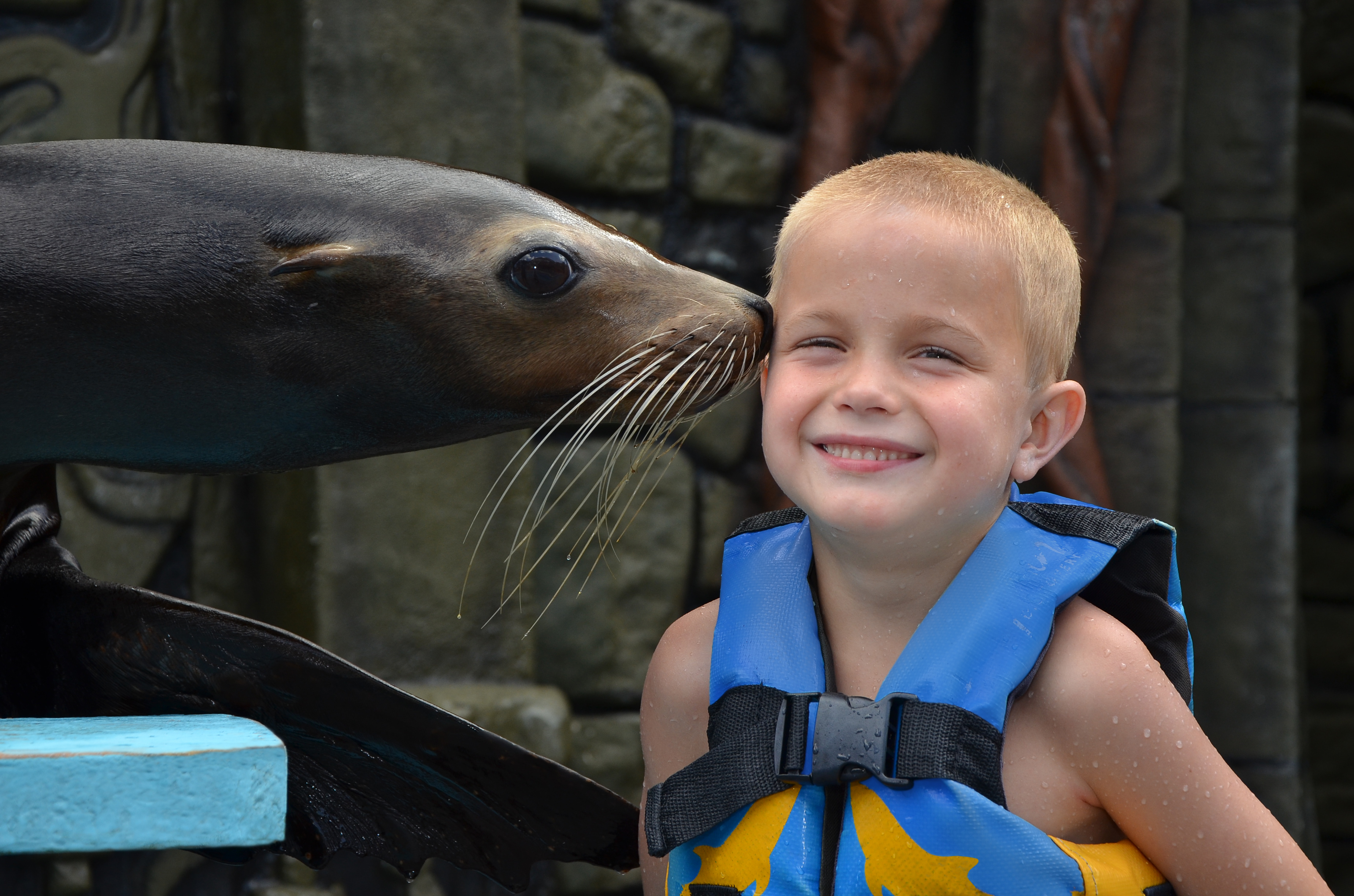 Discovery Especies (Lobos & Manatíes)