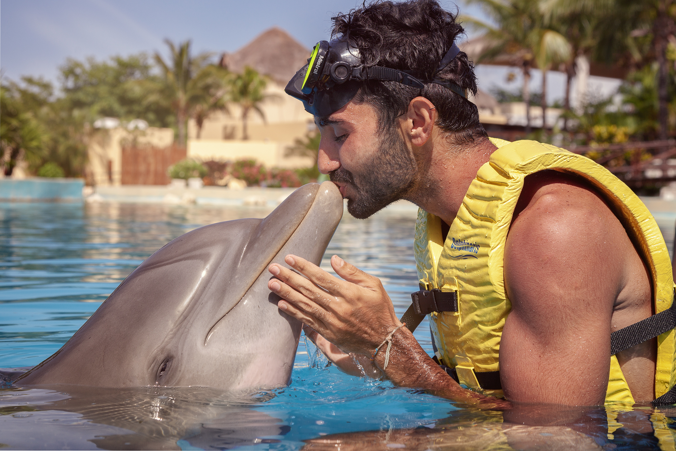 Dolphin Friendly Encounter