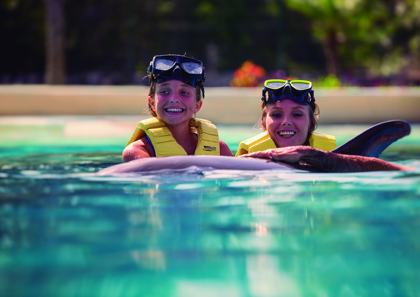 Ocean Secrets Experience