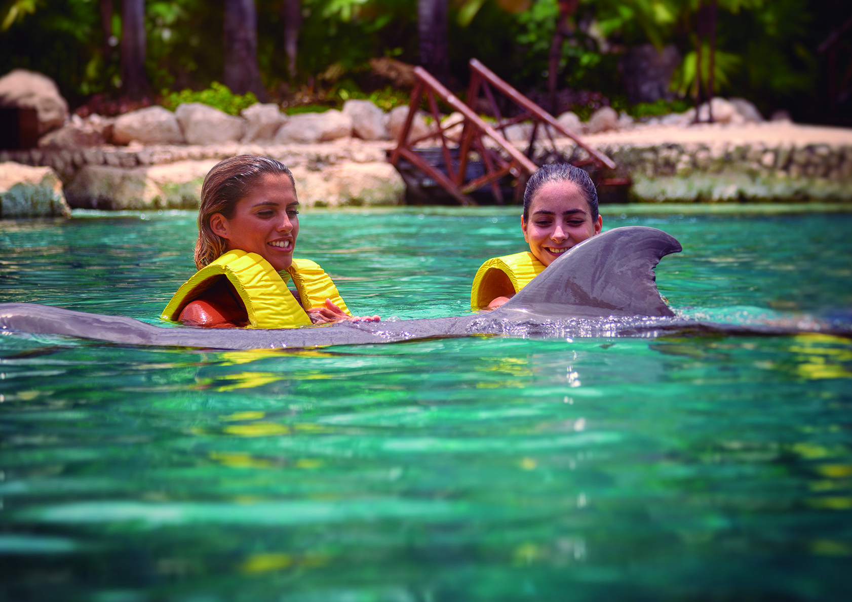 Fintastic Experience