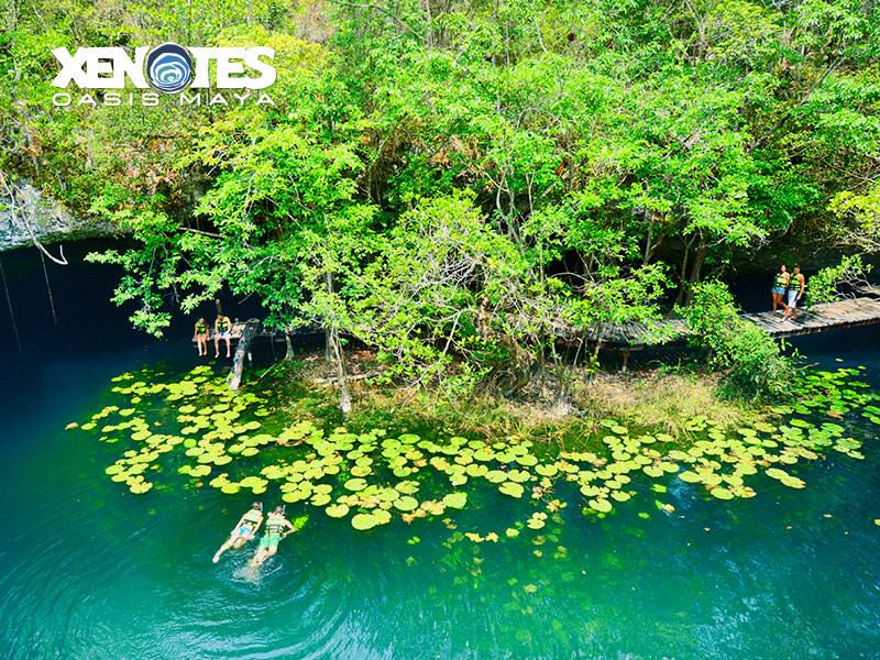  Xenotes Oasis Maya 