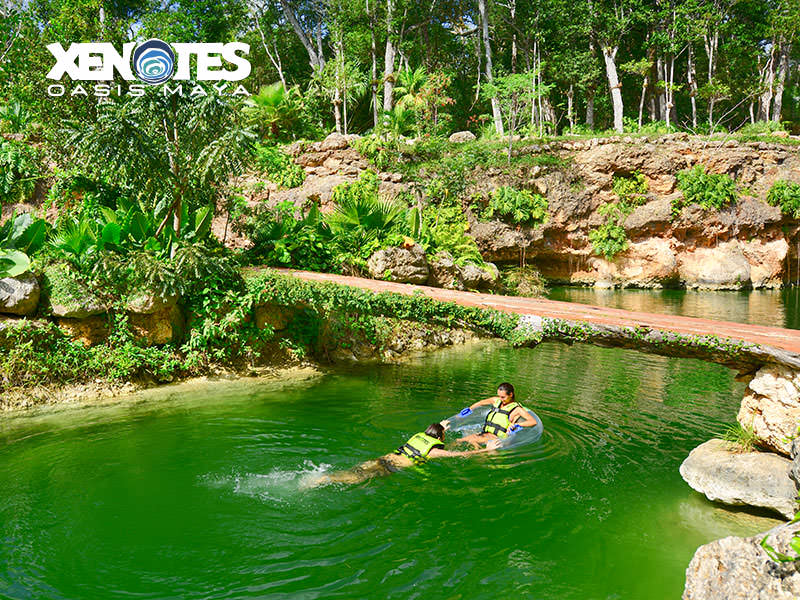 Xenotes Oasis Maya 
