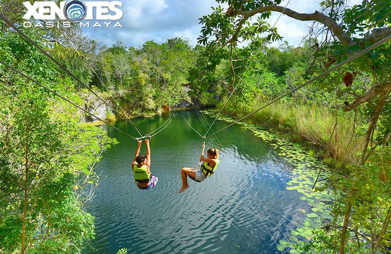  Xenotes Oasis Maya 