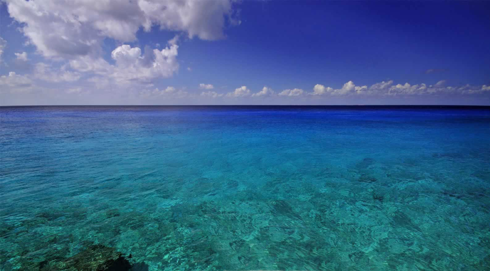 Cozumel All Inclusive