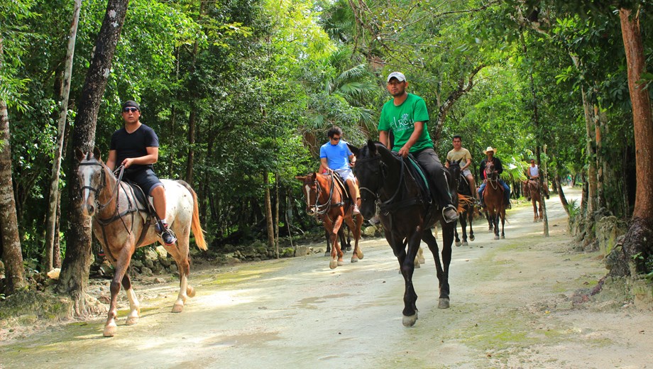 Horseback riding & Canopy 