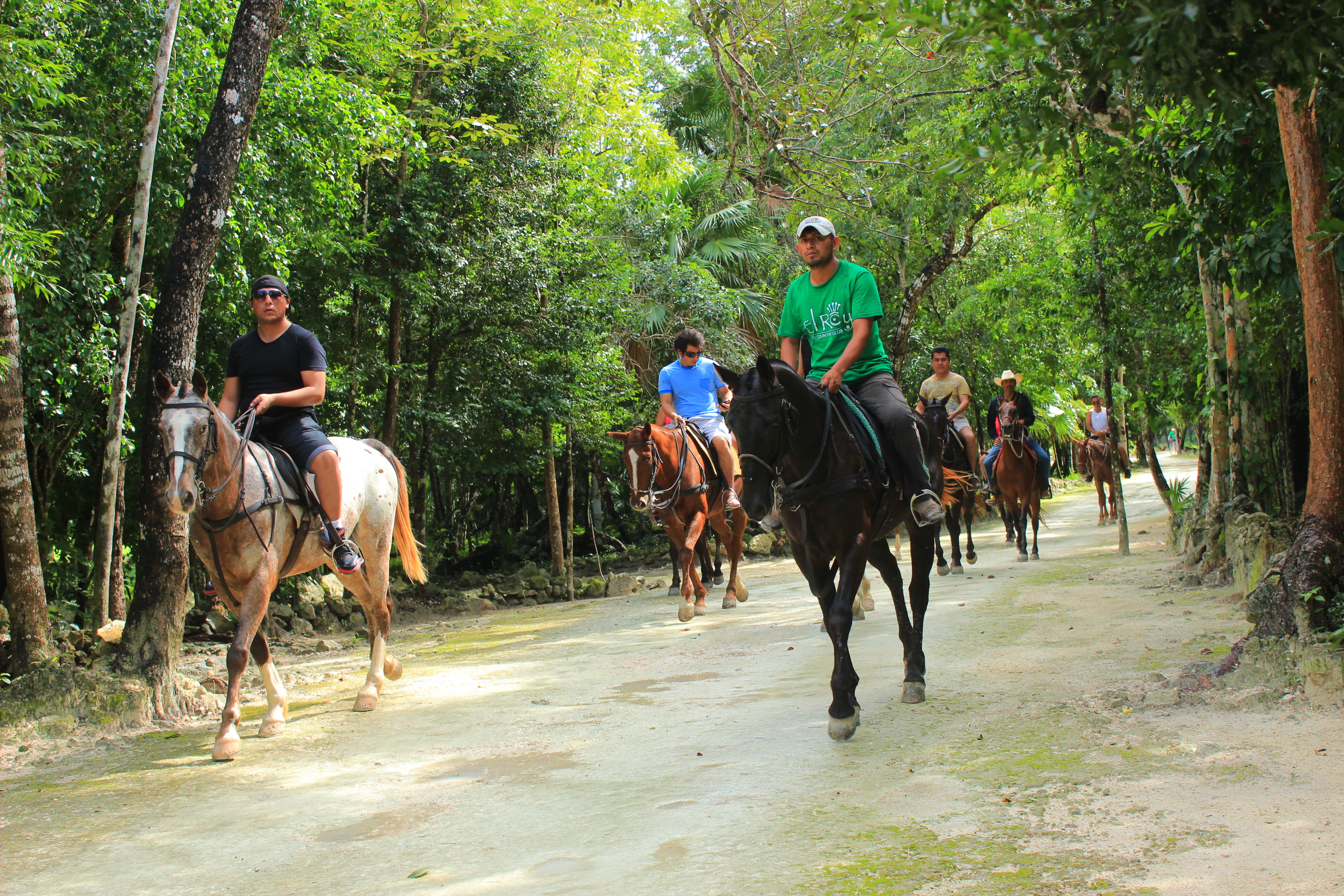 Paseo a Caballo Loma Bonita