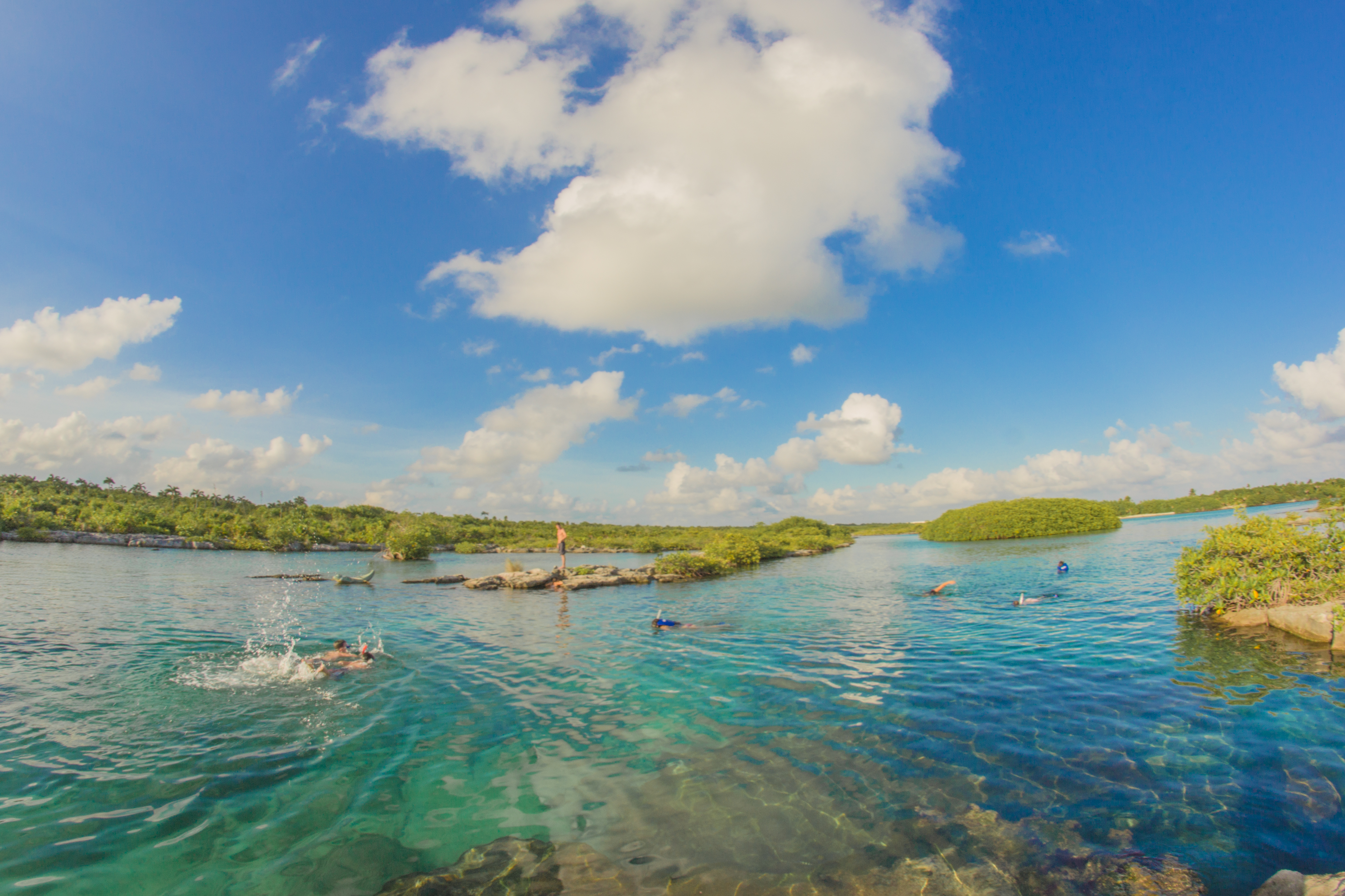 Snorkel en Cenotes