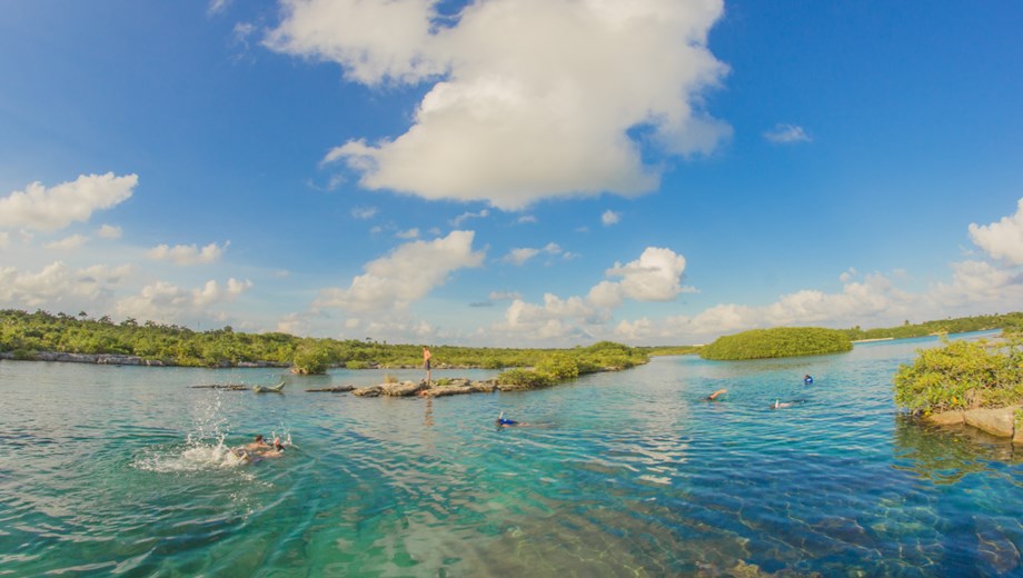 Snorkel en Cenotes