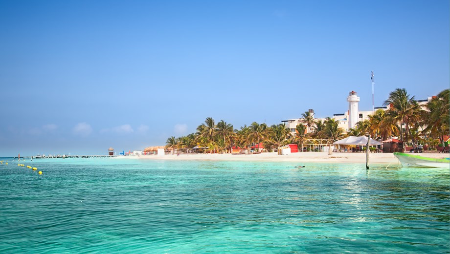 Whale Shark Experience