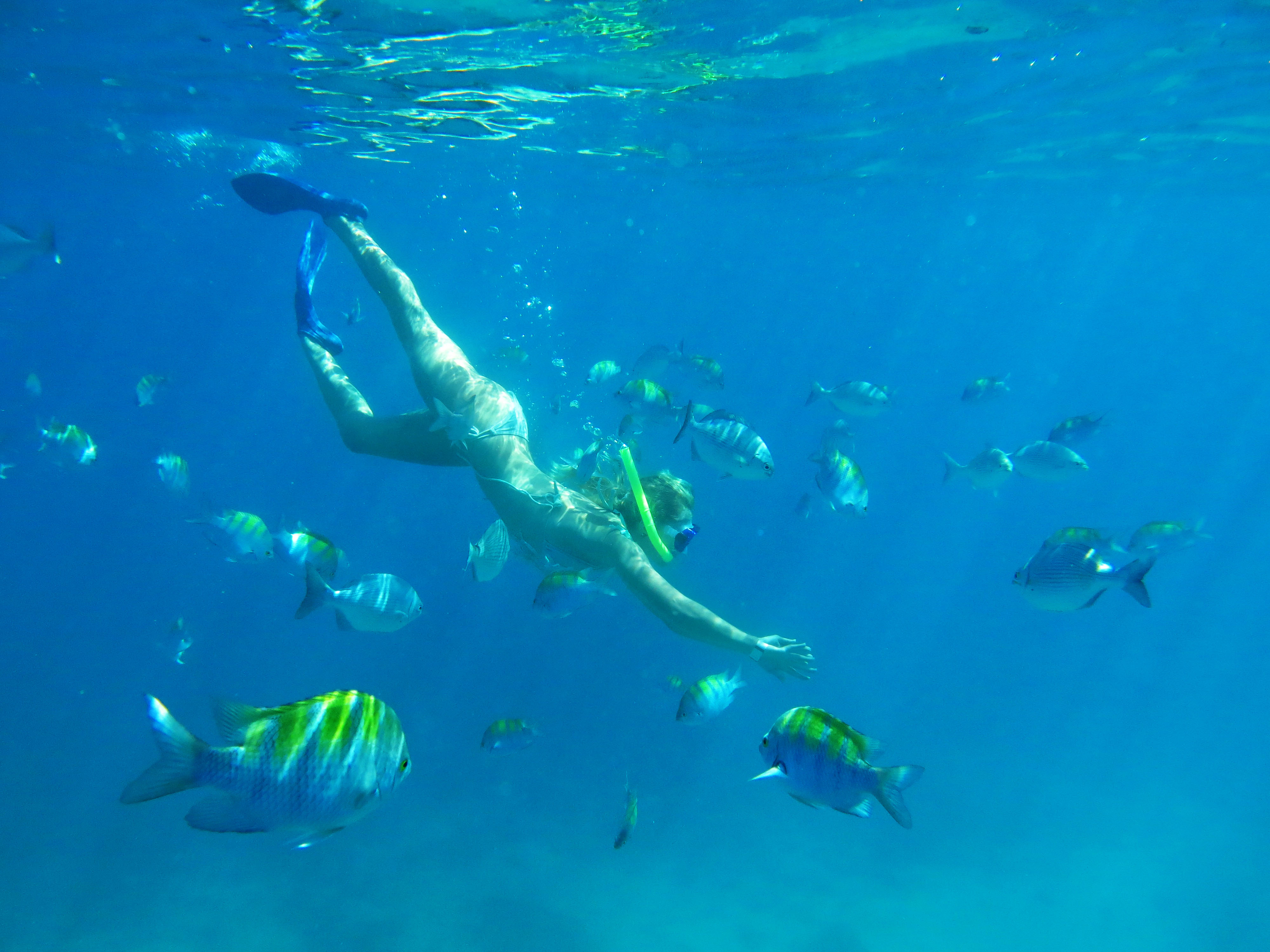 Luxury Sailing & Snorkeling Isla Mujeres