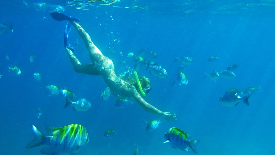 Paseo en Velero de Lujo & Snorkeling en Isla Mujeres