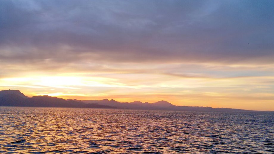 Sunset Margarita Catamaran