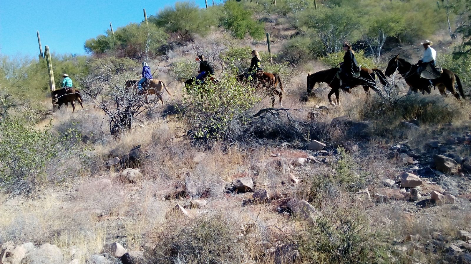 Horseback Riding Adventure