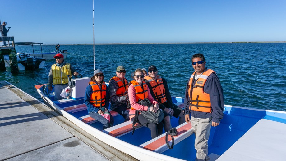 Gray Whale Watching Tour at Lopez Mateos