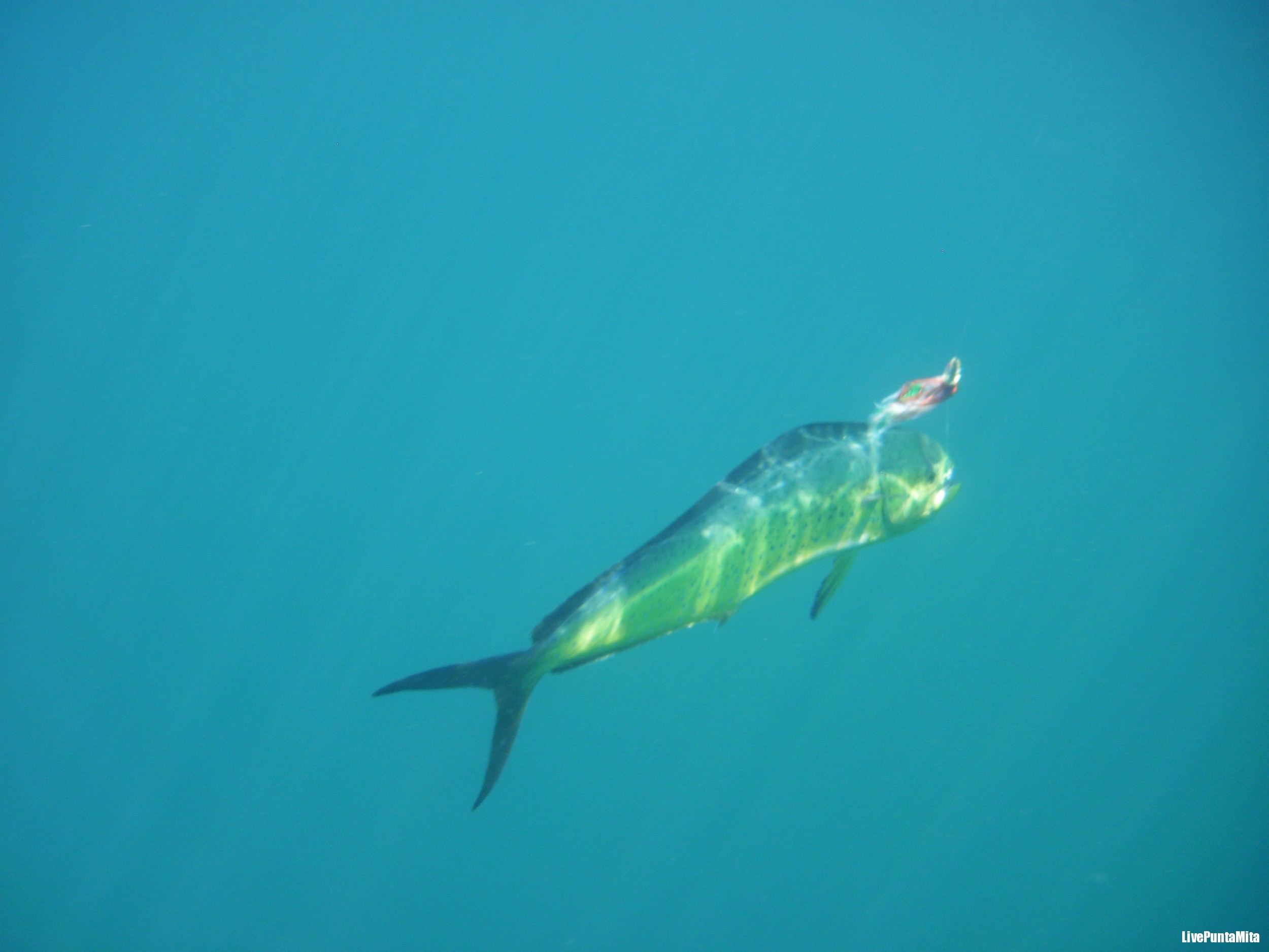 En panga por las islas de Loreto