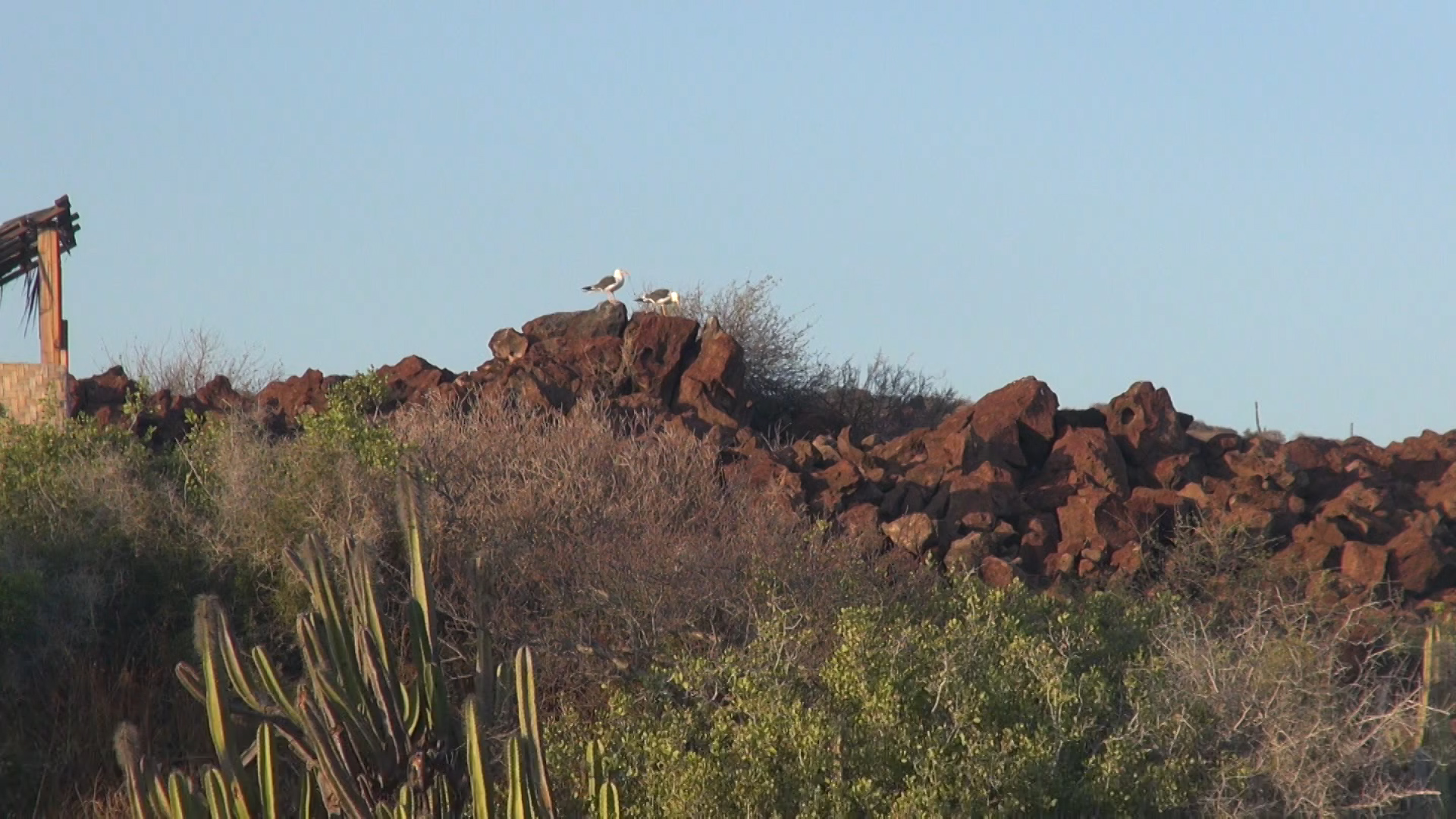 Coronado Island Adventure