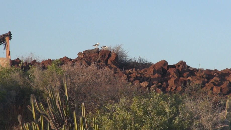 Coronado Island Adventure
