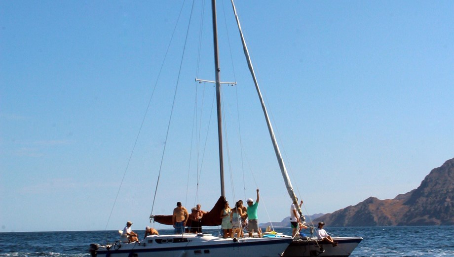 Sunset Cruise By Catamaran Private Tour