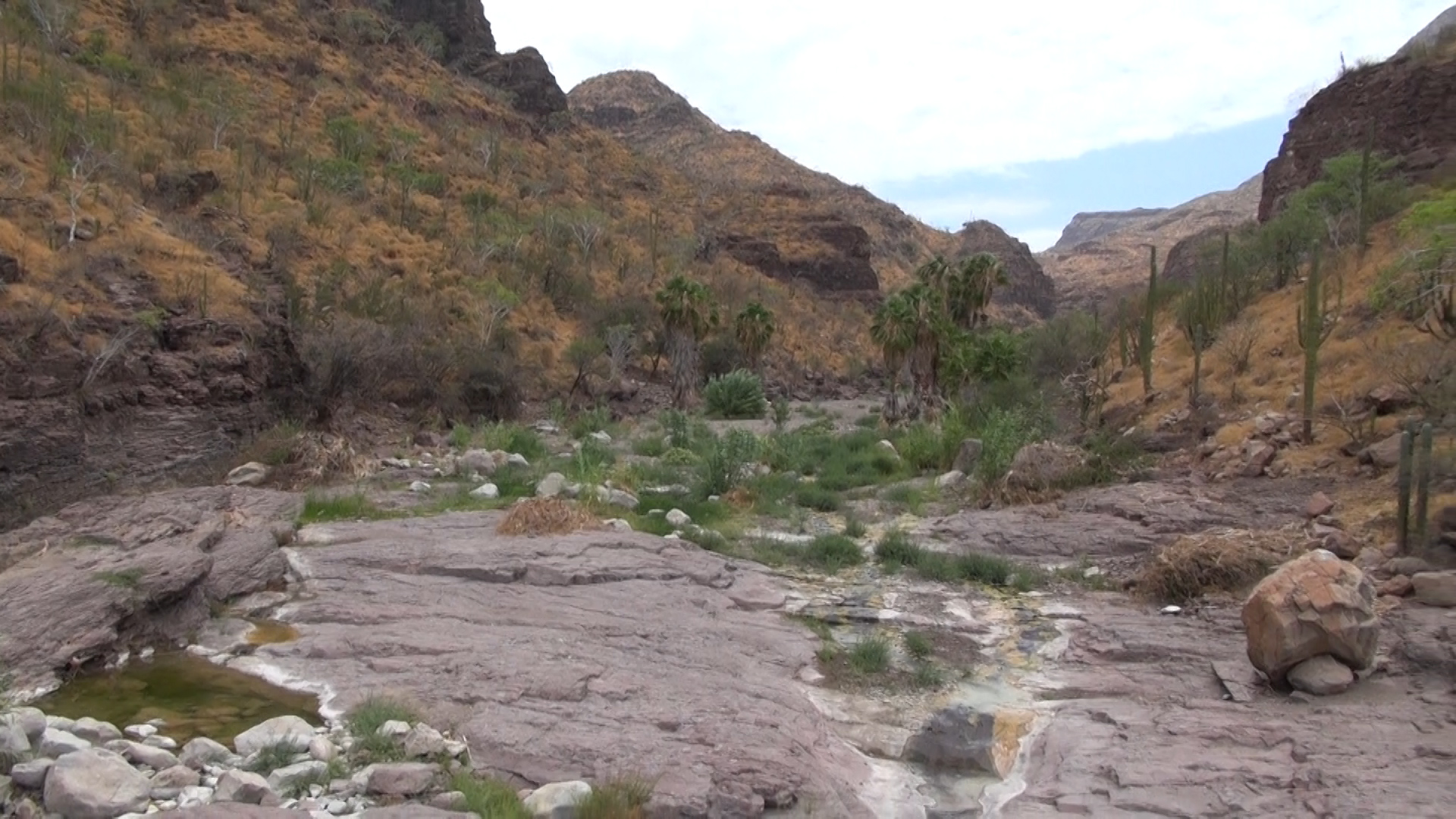 Adventure Hiking Tabor Canyon