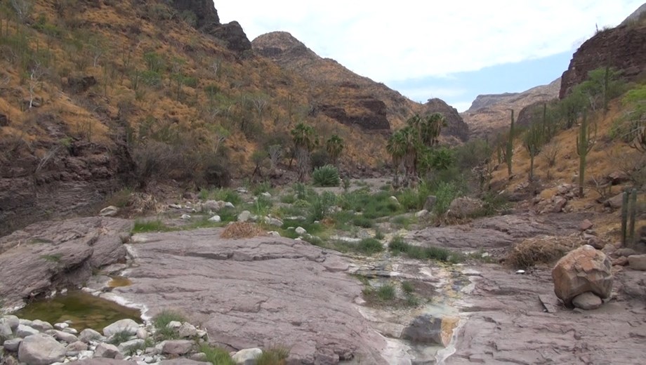 Adventure Hiking Tabor Canyon