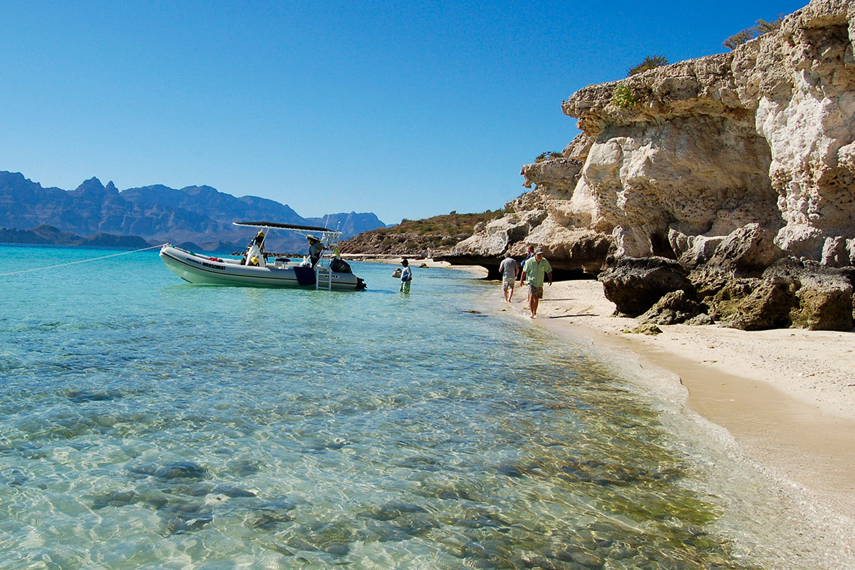 Danzante Island Tour