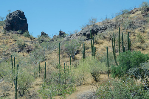 Excursión a San Javier Misión