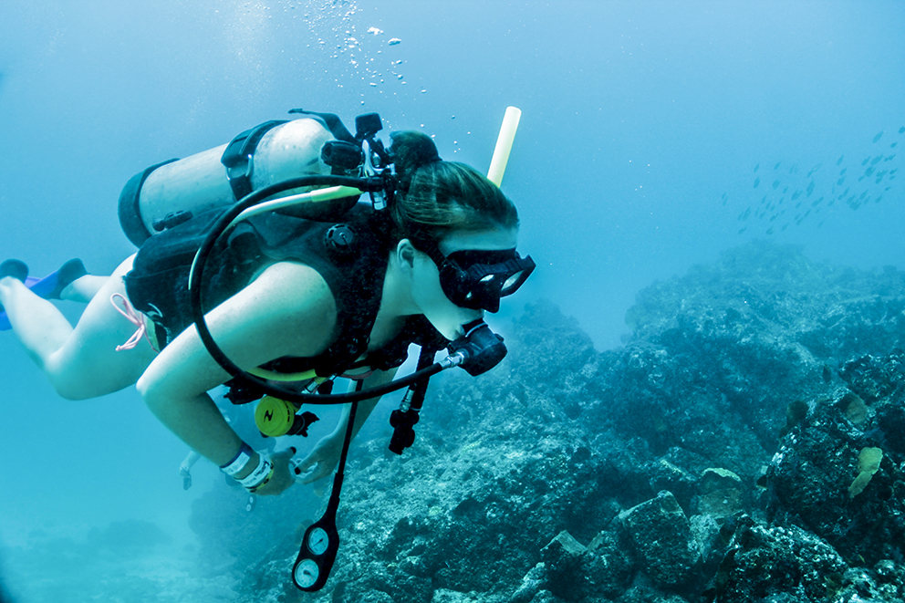 Scuba Diving in El Morro