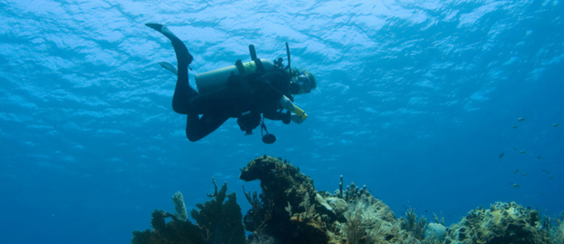 Scuba Diving in El Morro