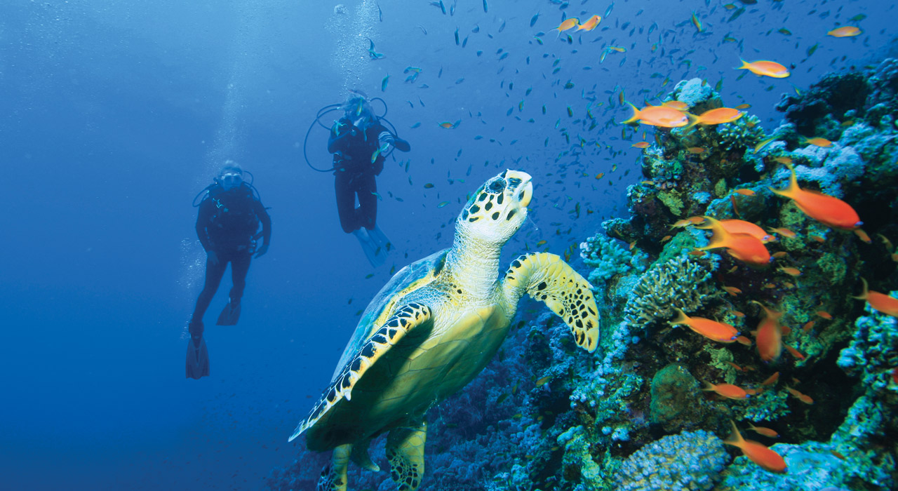 Discover Scuba in Caletas