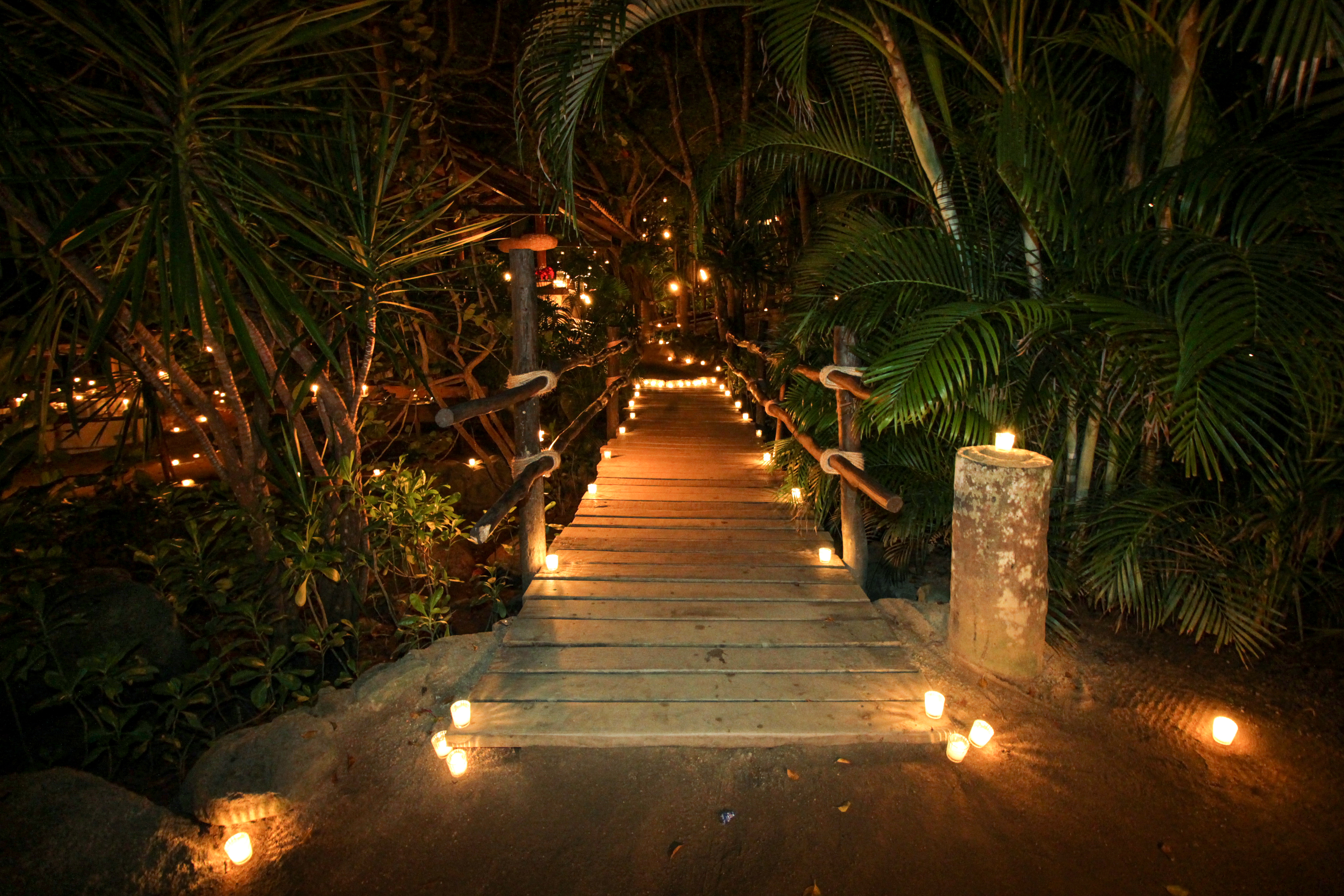 Rhythms of the Night Alma