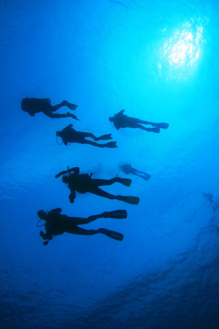 Scuba Diving at Las Caletas