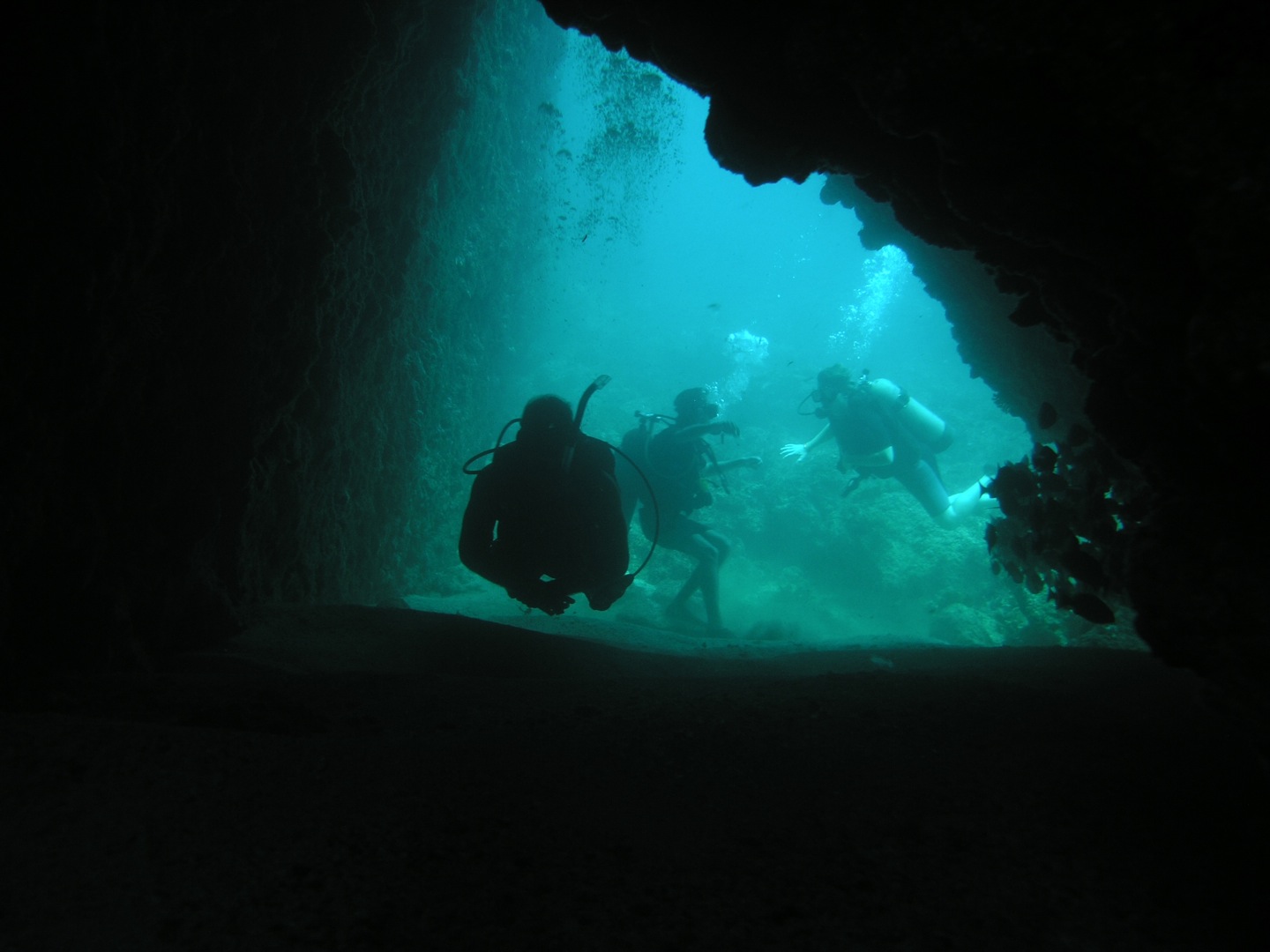 Scuba Diving at Las Caletas