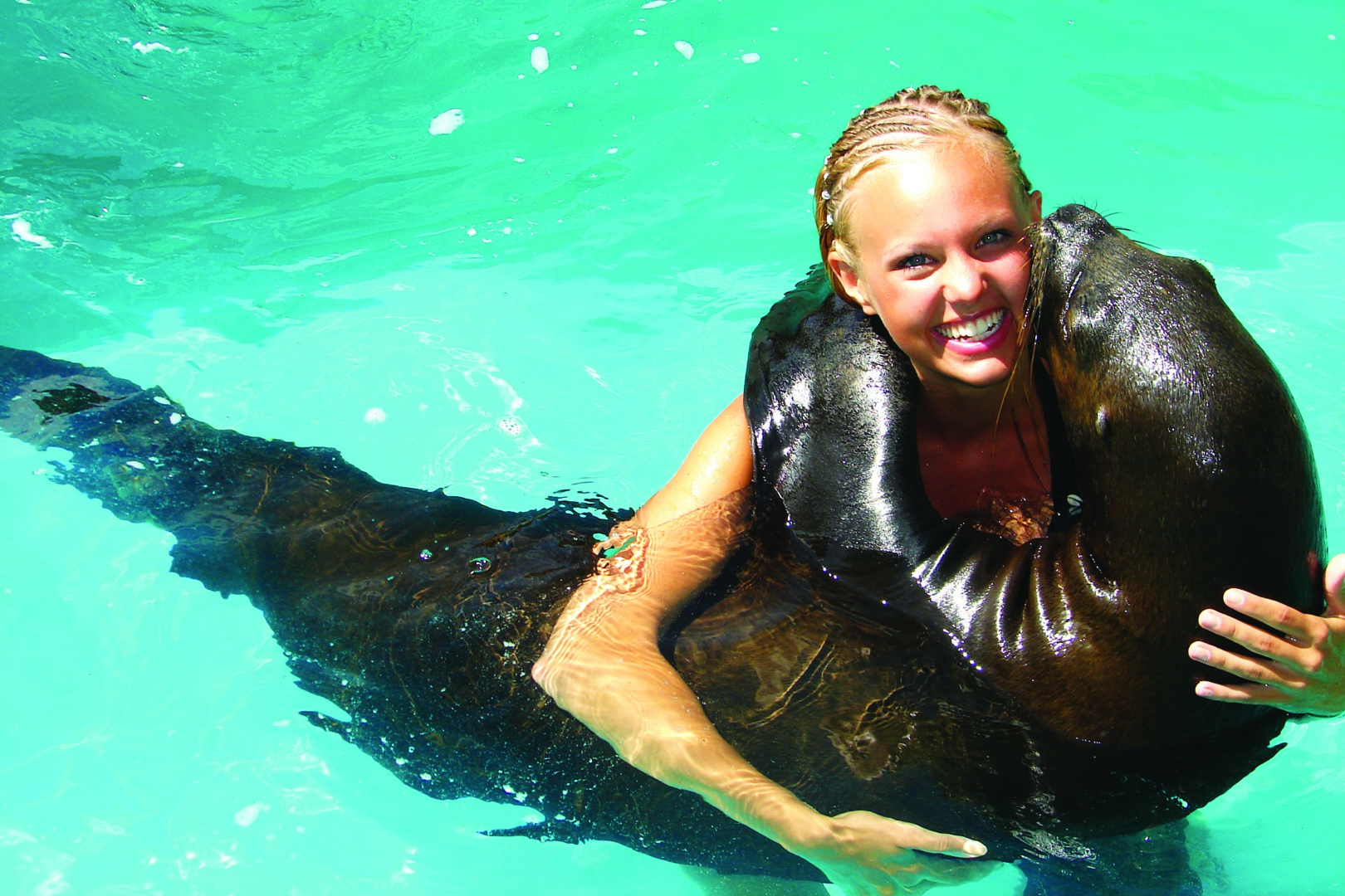 Sea Lion Encounter