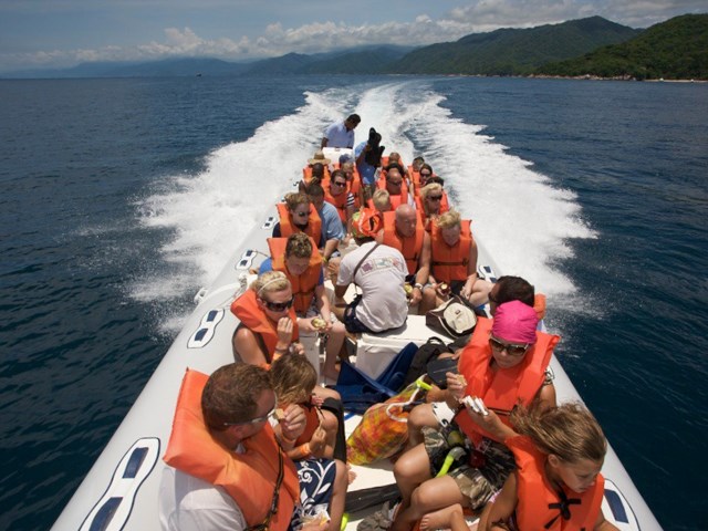 Sea Safari & Horseback Riding