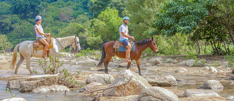 Sea Safari & Beach BBQ