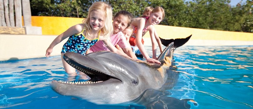 Niños con Delfines