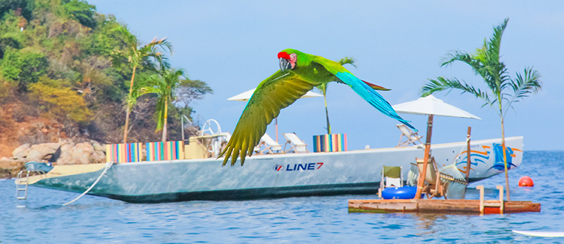 Las Caletas Beach Hideaway