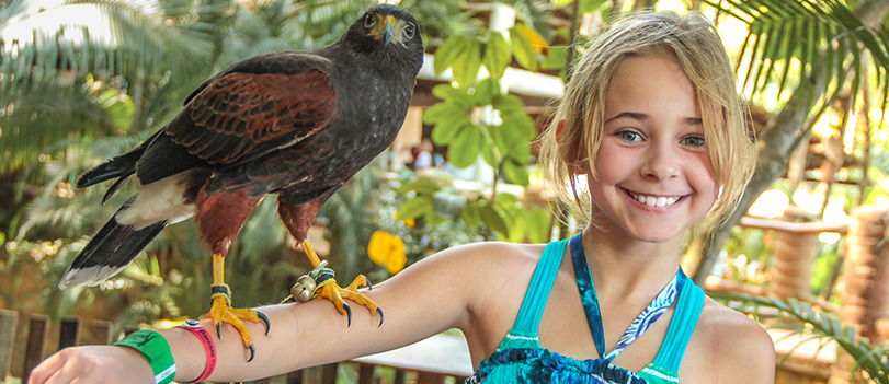 Las Caletas Beach Hideaway