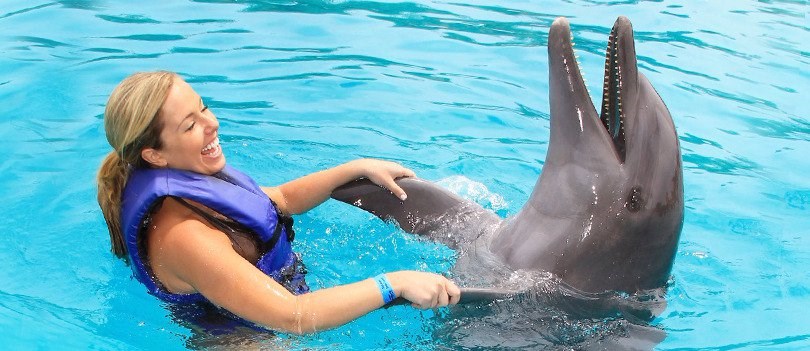 Aventura con Delfines 
