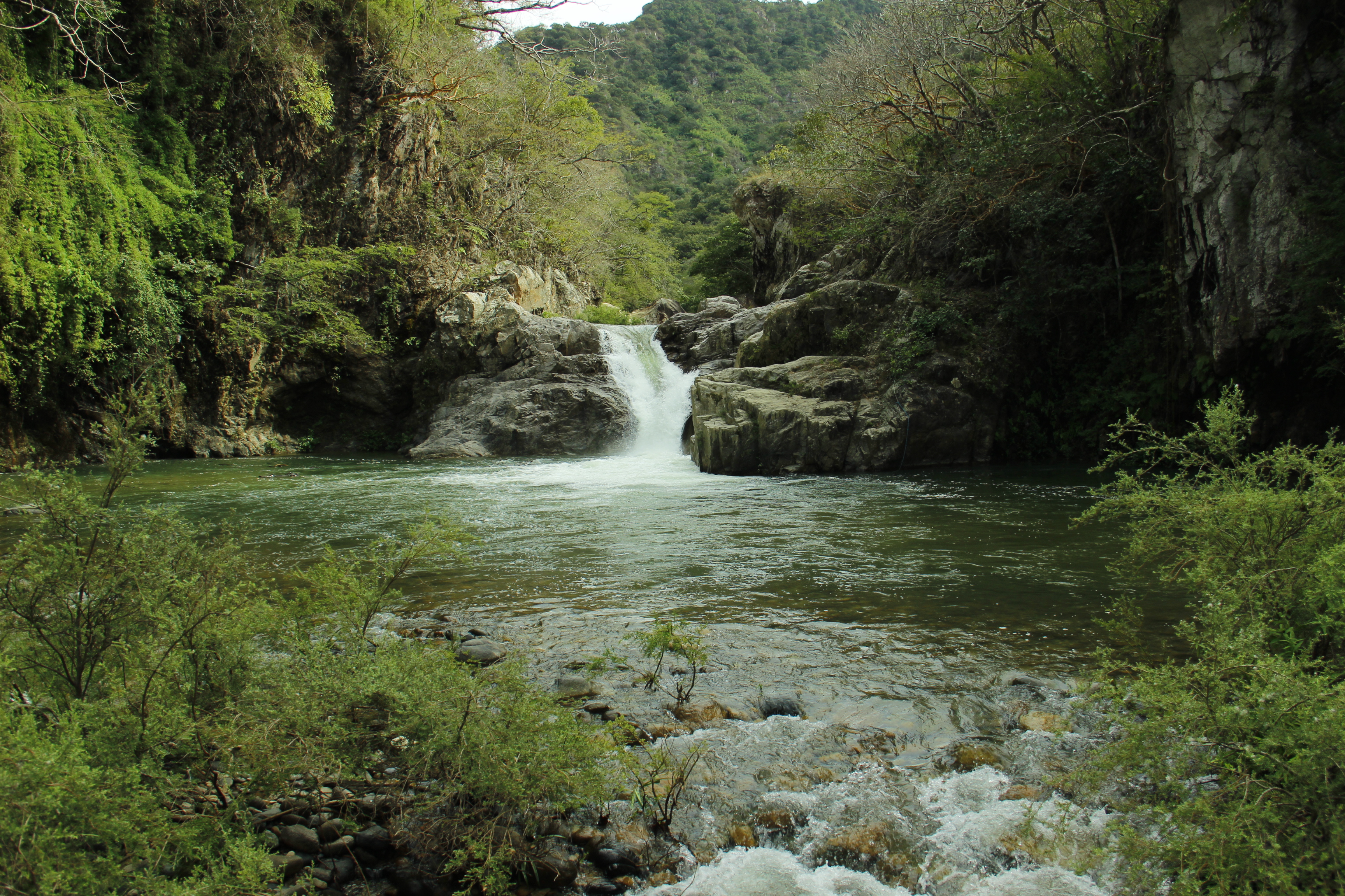 Combo Rzr Jorullo + Zipline
