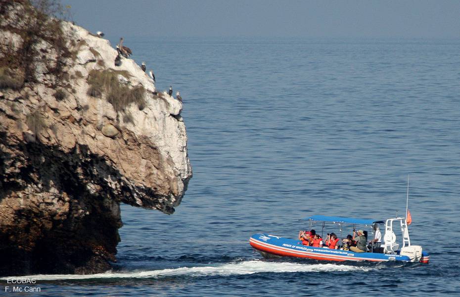 Snorkeling at Marietas