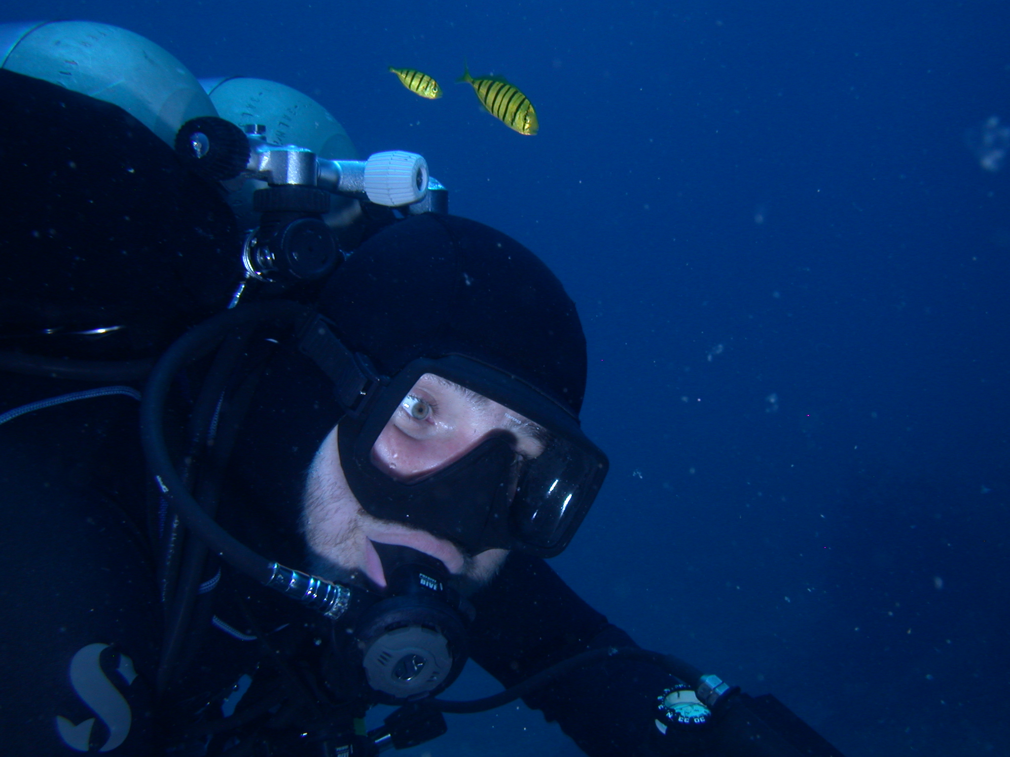 Buceo en La Corbeteña
