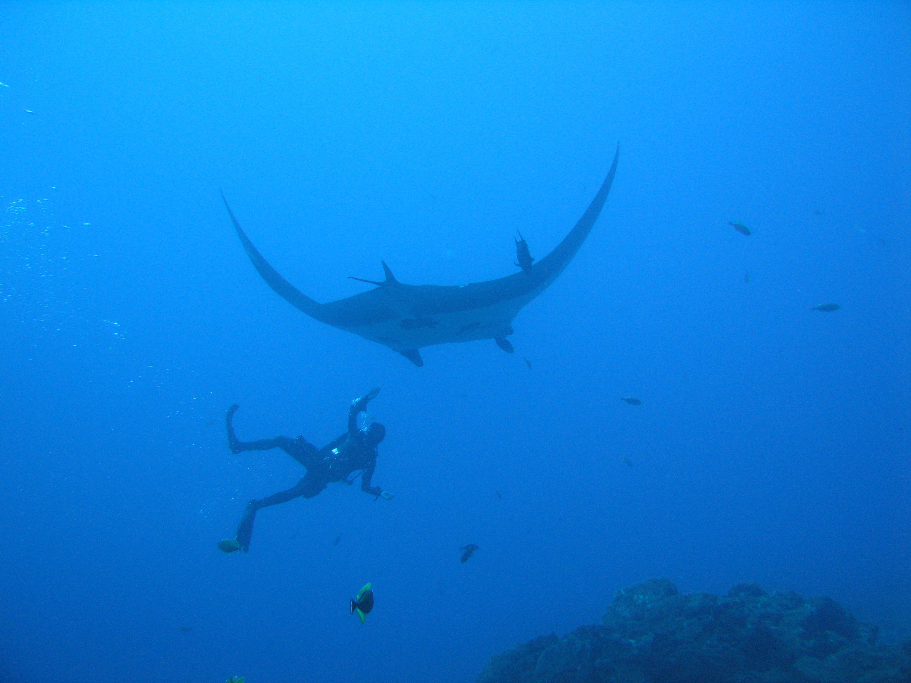 Buceo en La Corbeteña