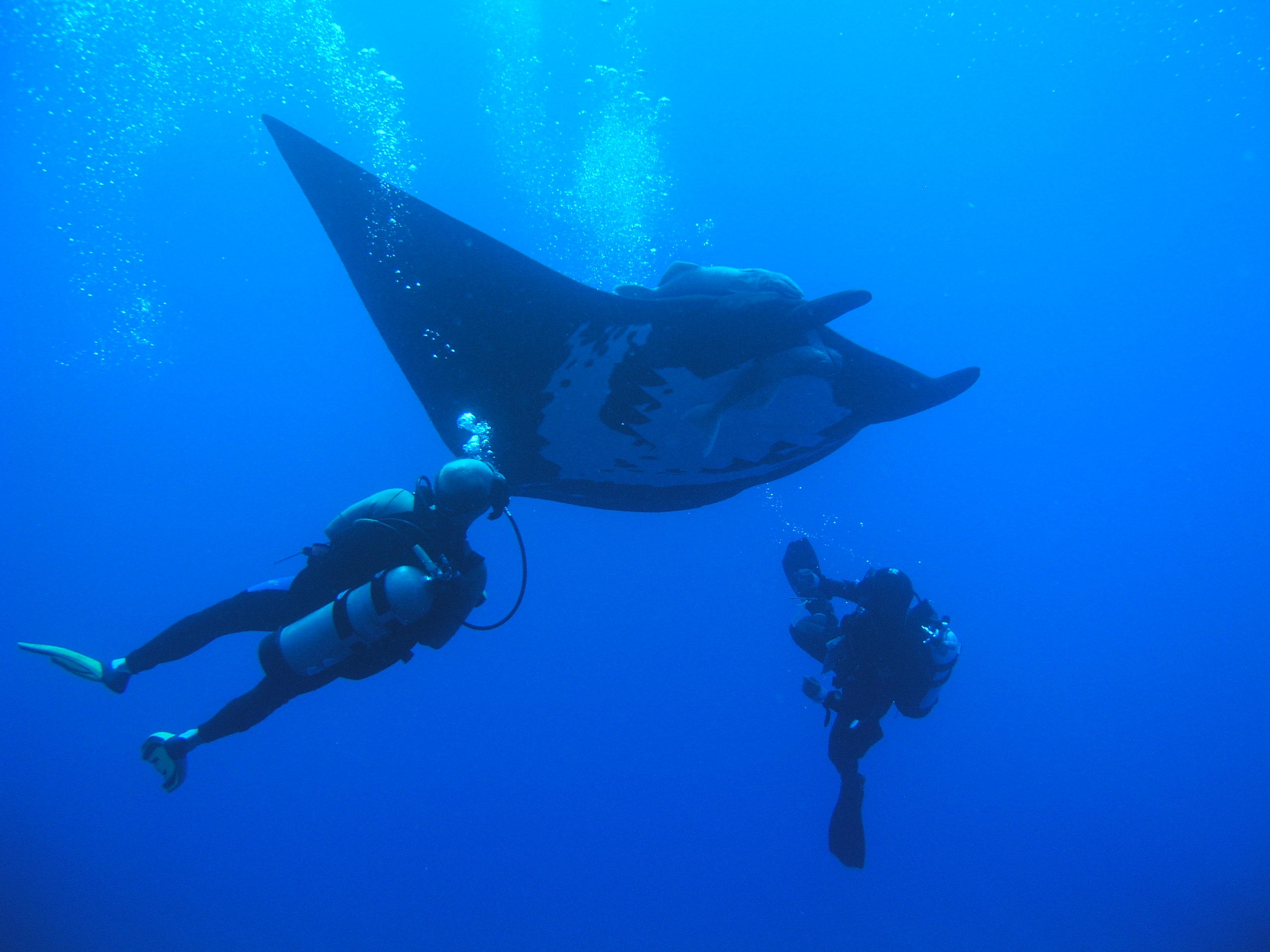 Buceo en La Corbeteña