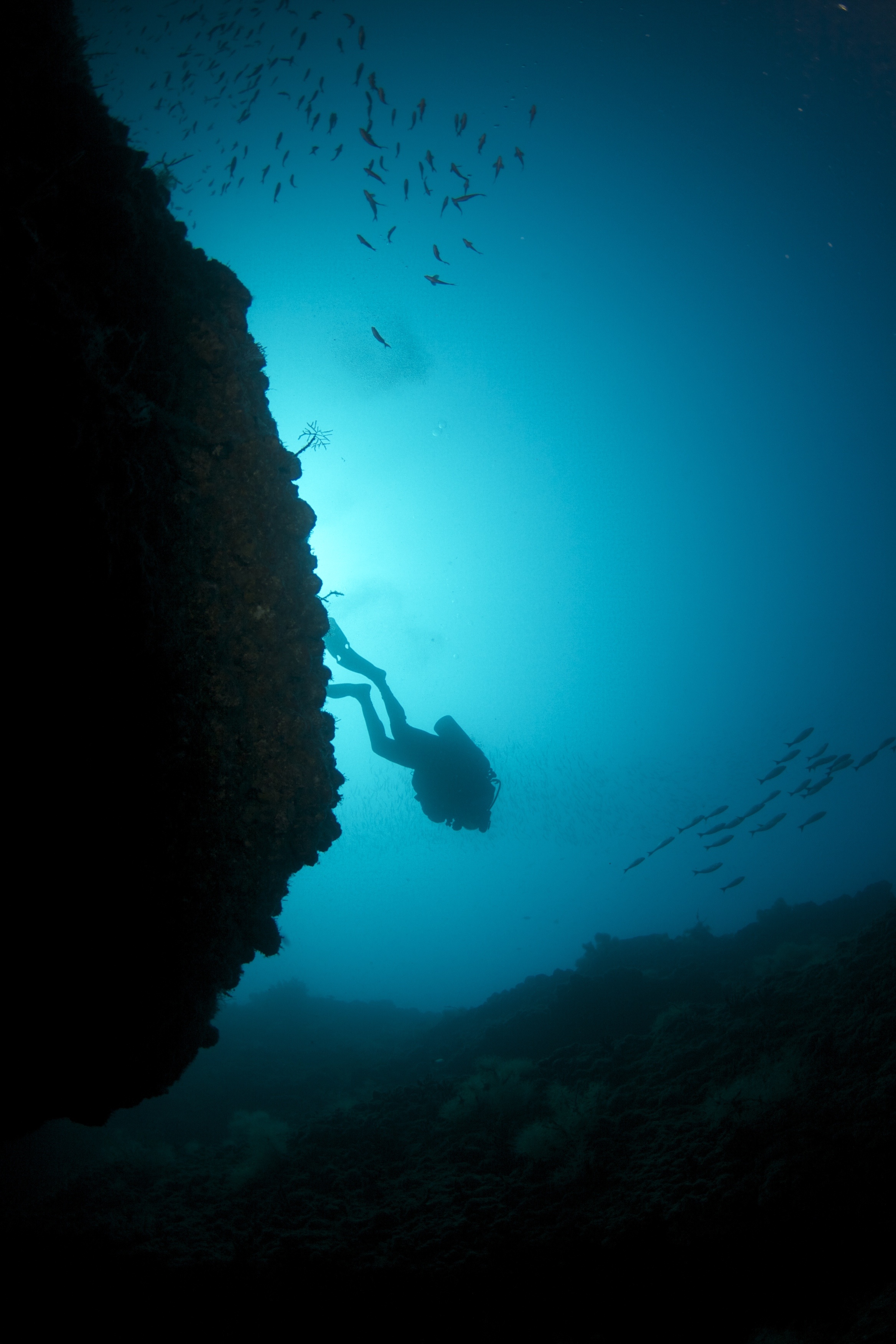 Scuba diving at El Morro
