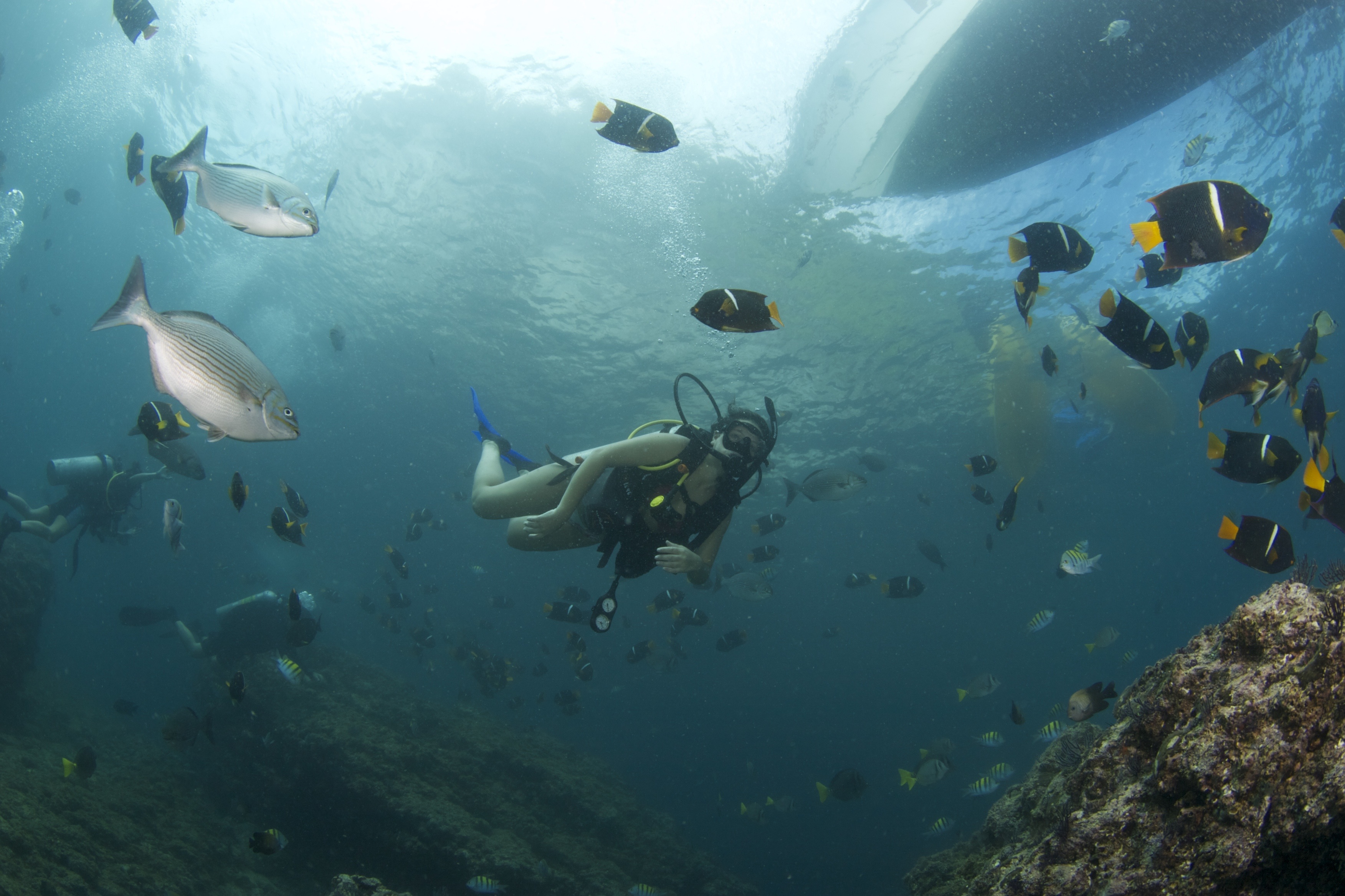 Scuba diving at Las Marietas Island