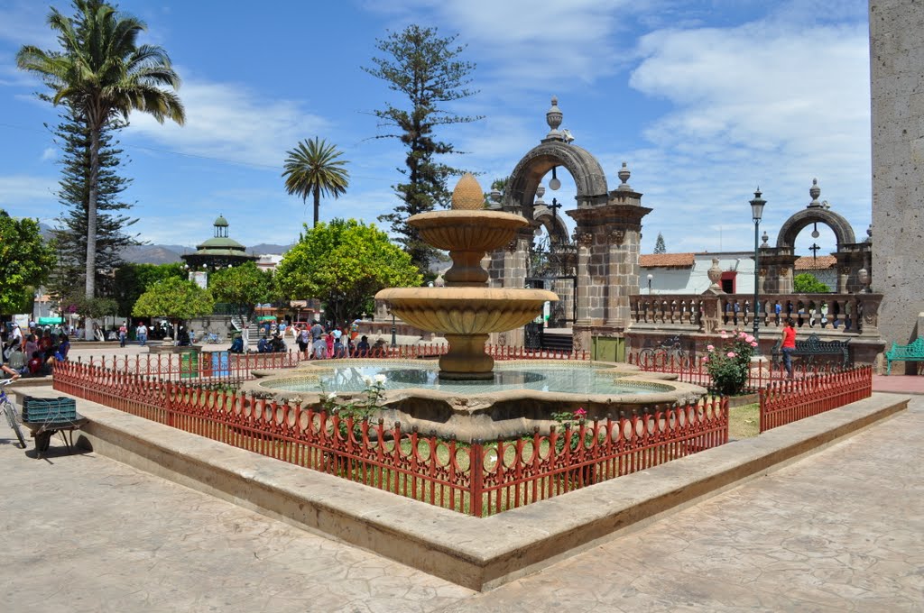 Tour Mascota and Talpa 