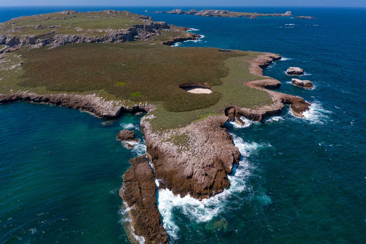 Marietas Sea Mi Amor 