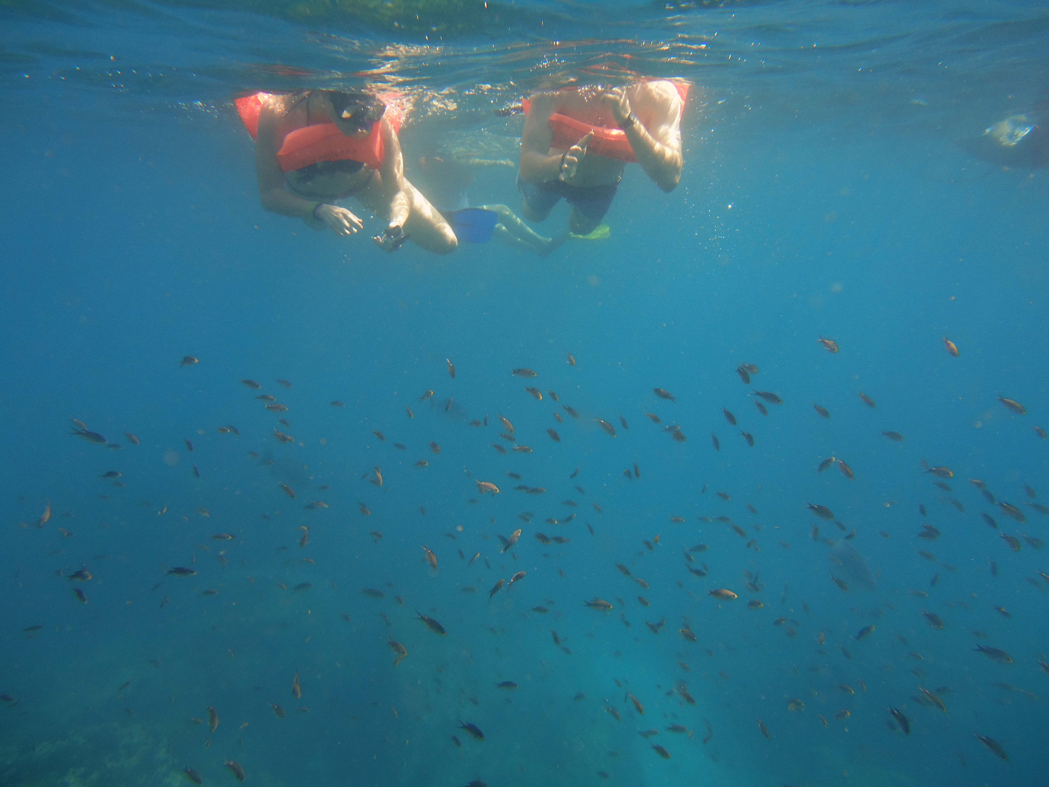 South Shore Sail,Snorkel and Beach