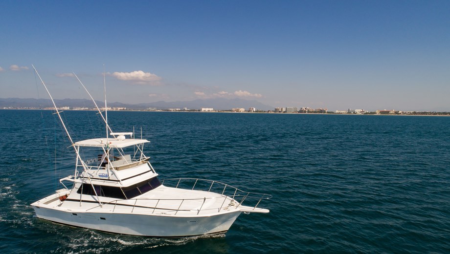 Isabella 44"| 8 pax max